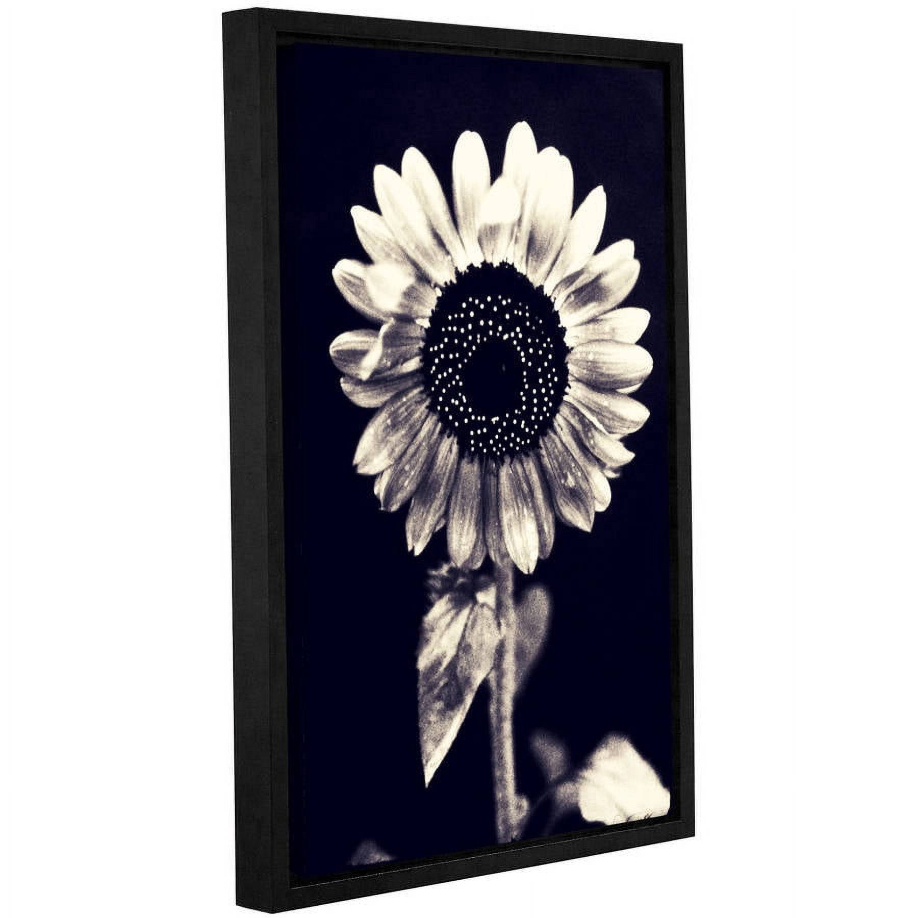 ArtWall Elena Ray "Black and White Sunflower" Gallery-Wrapped Floater-Framed Canvas