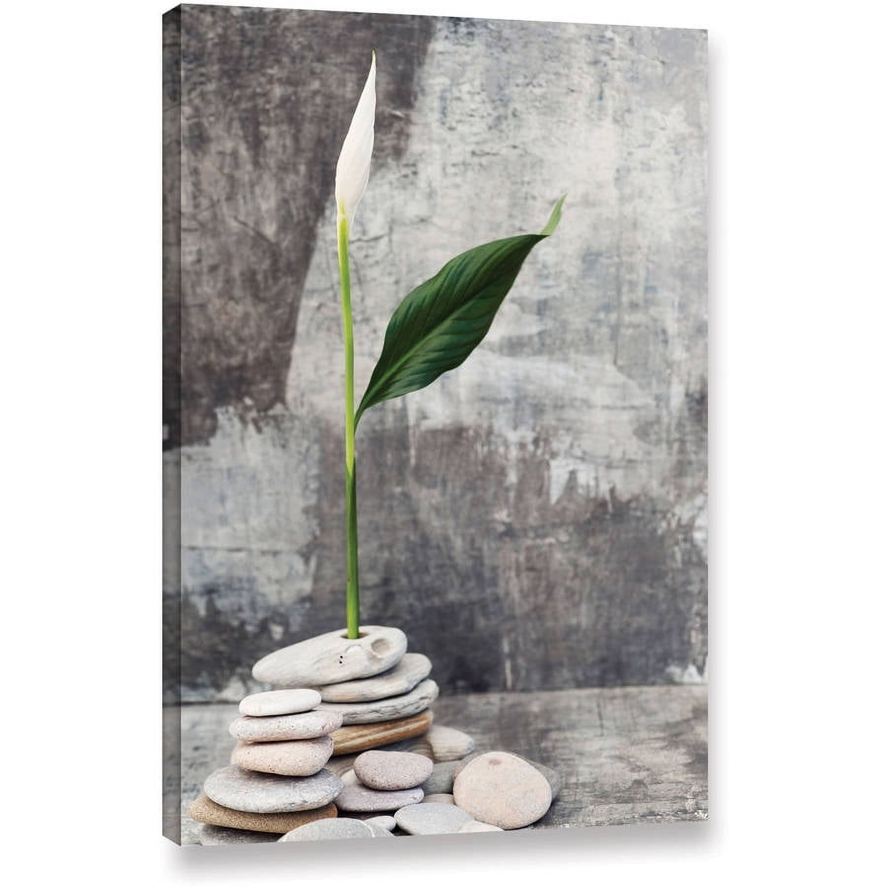 ArtWall Elena Ray "Calla Lilly" Gallery-wrapped Canvas