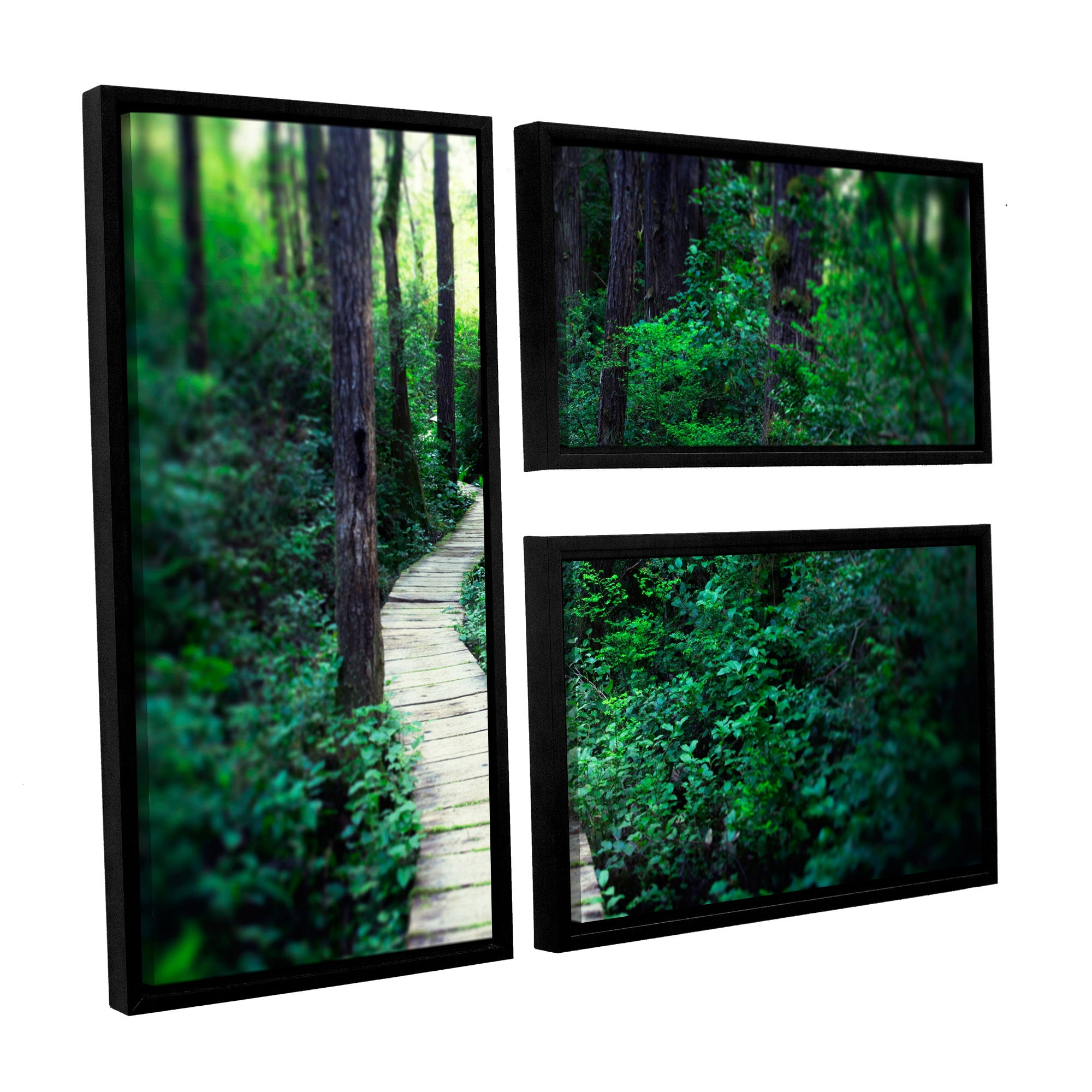 Earth Path' 3 Piece Floater Framed Canvas Art Print Flag Set, 24x36