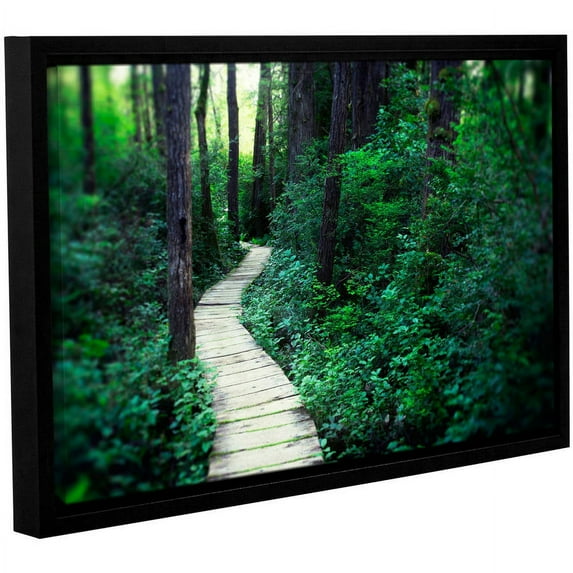 ArtWall Elena Ray "Earth Path" Gallery-wrapped Floater-framed Canvas