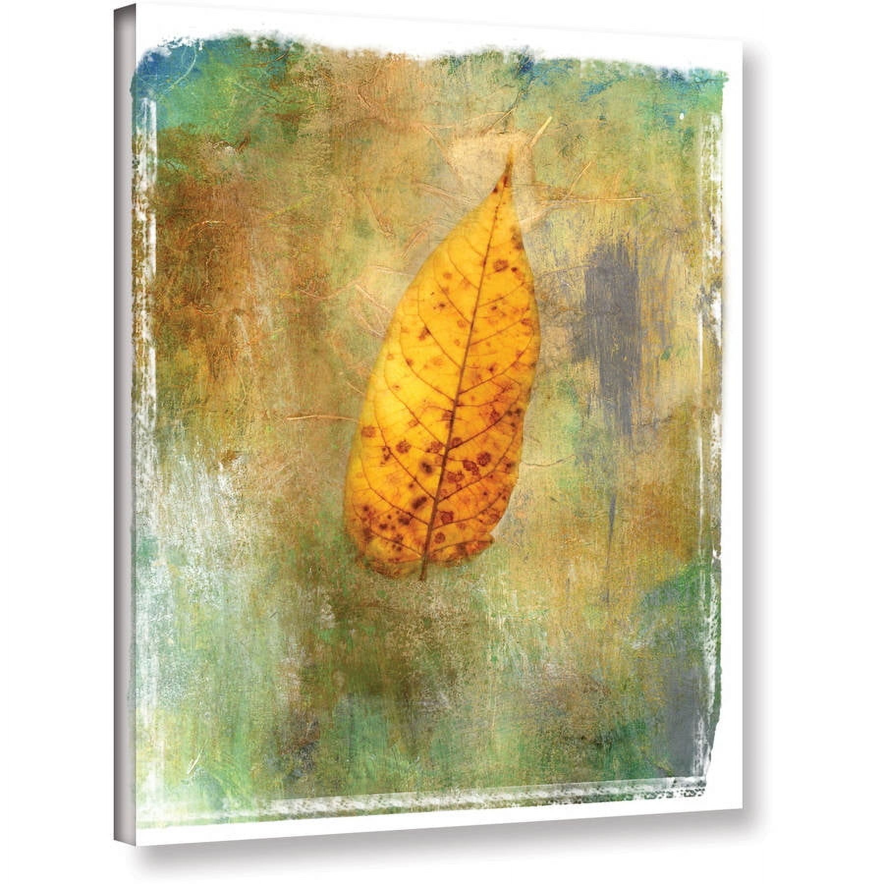 ArtWall Elena Ray " Leaf II " Gallery-Wrapped Canvas