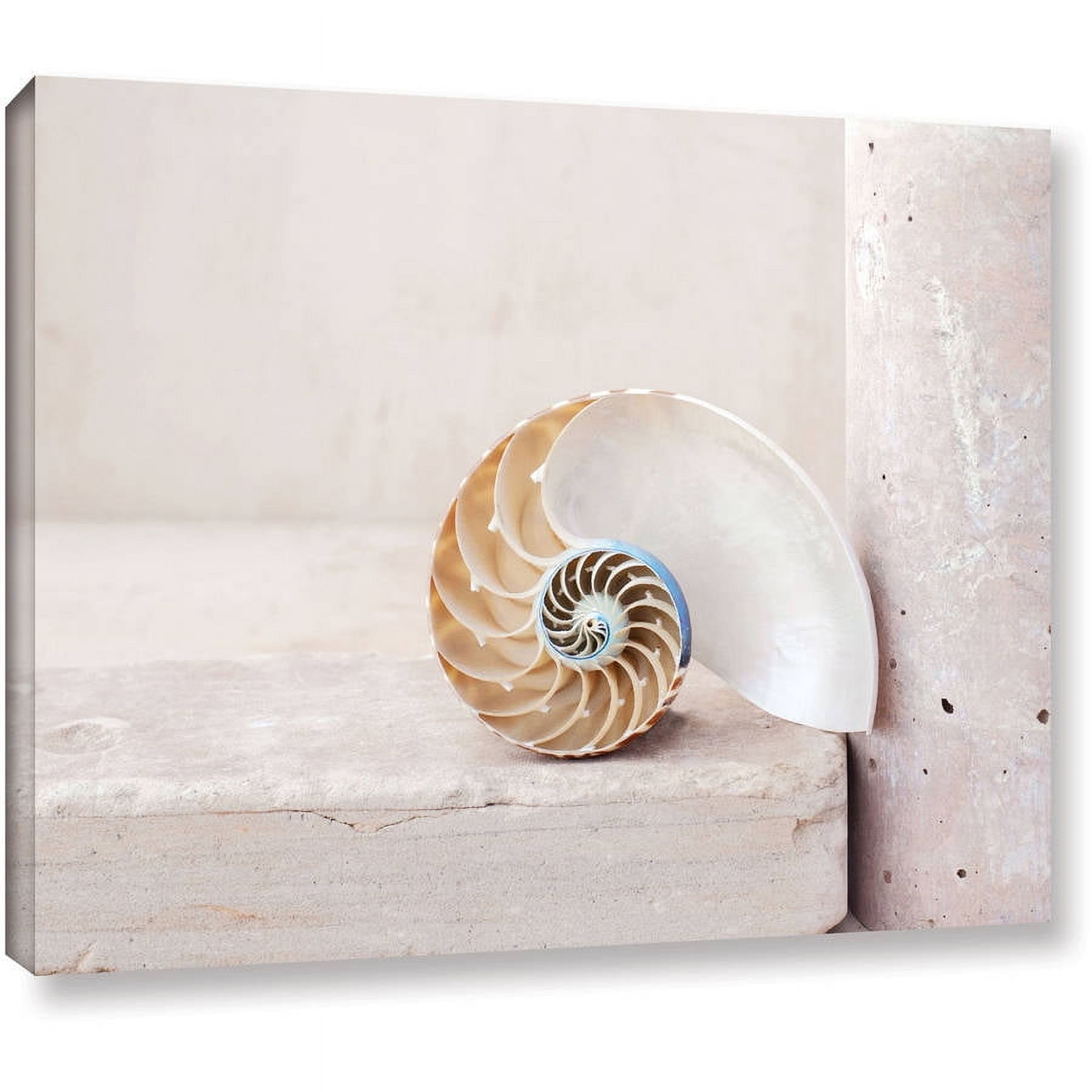 ArtWall Elena Ray "Nautilus" Gallery-wrapped Canvas