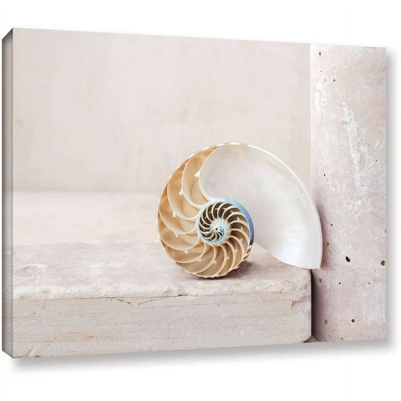 ArtWall Elena Ray "Nautilus" Gallery-wrapped Canvas
