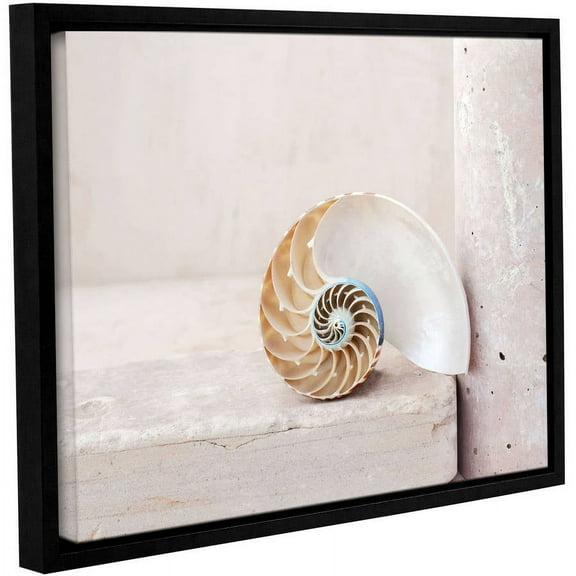 ArtWall Elena Ray "Nautilus" Gallery-wrapped Floater-framed Canvas
