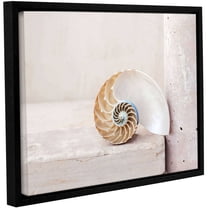 ArtWall Elena Ray "Nautilus" Gallery-wrapped Floater-framed Canvas