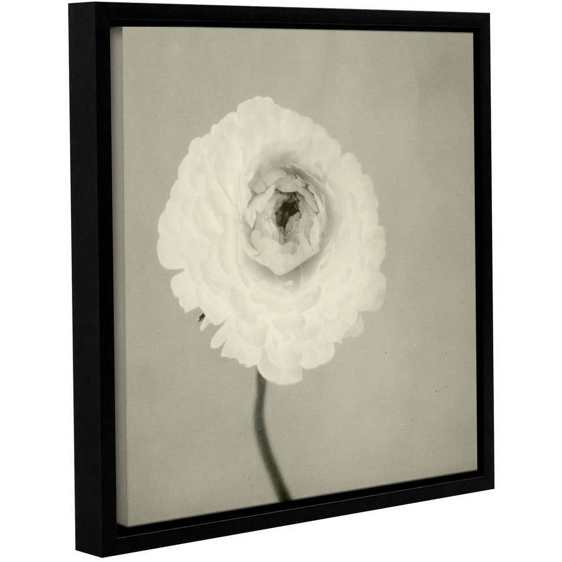 ArtWall Elena Ray "Ranunculus" Gallery-Wrapped Floater-Framed Canvas