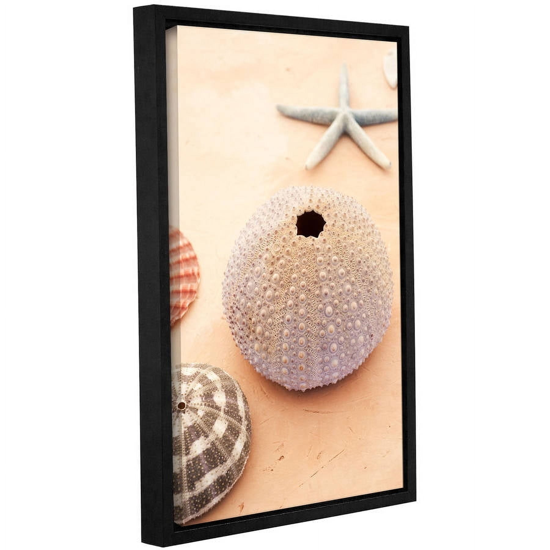 ArtWall Elena Ray "Seashells" Gallery-Wrapped Floater-Framed Canvas