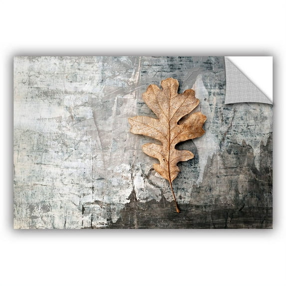 ArtWall Elena Ray "Still Life Leaf" Art Appeals Removable Wall Art