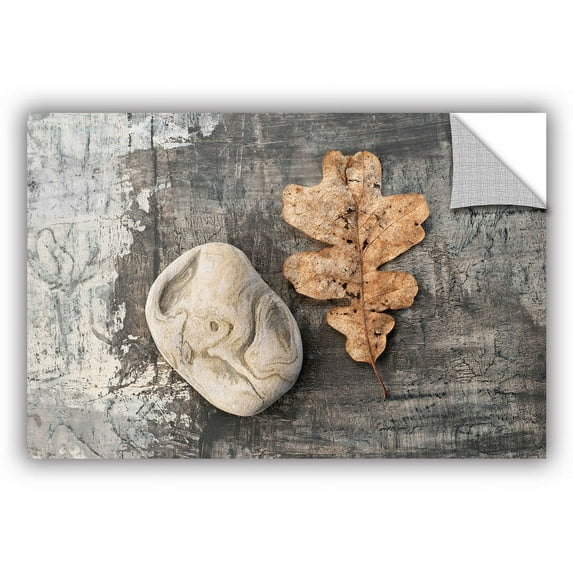 ArtWall Elena Ray "Still Life Leaf Stone" Art Appeals Removable Wall Art