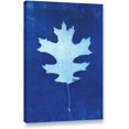 thumbnail image 1 of ArtWall Elena Ray "Sun Print Of A Leaf" Gallery-wrapped Canvas, 1 of 6