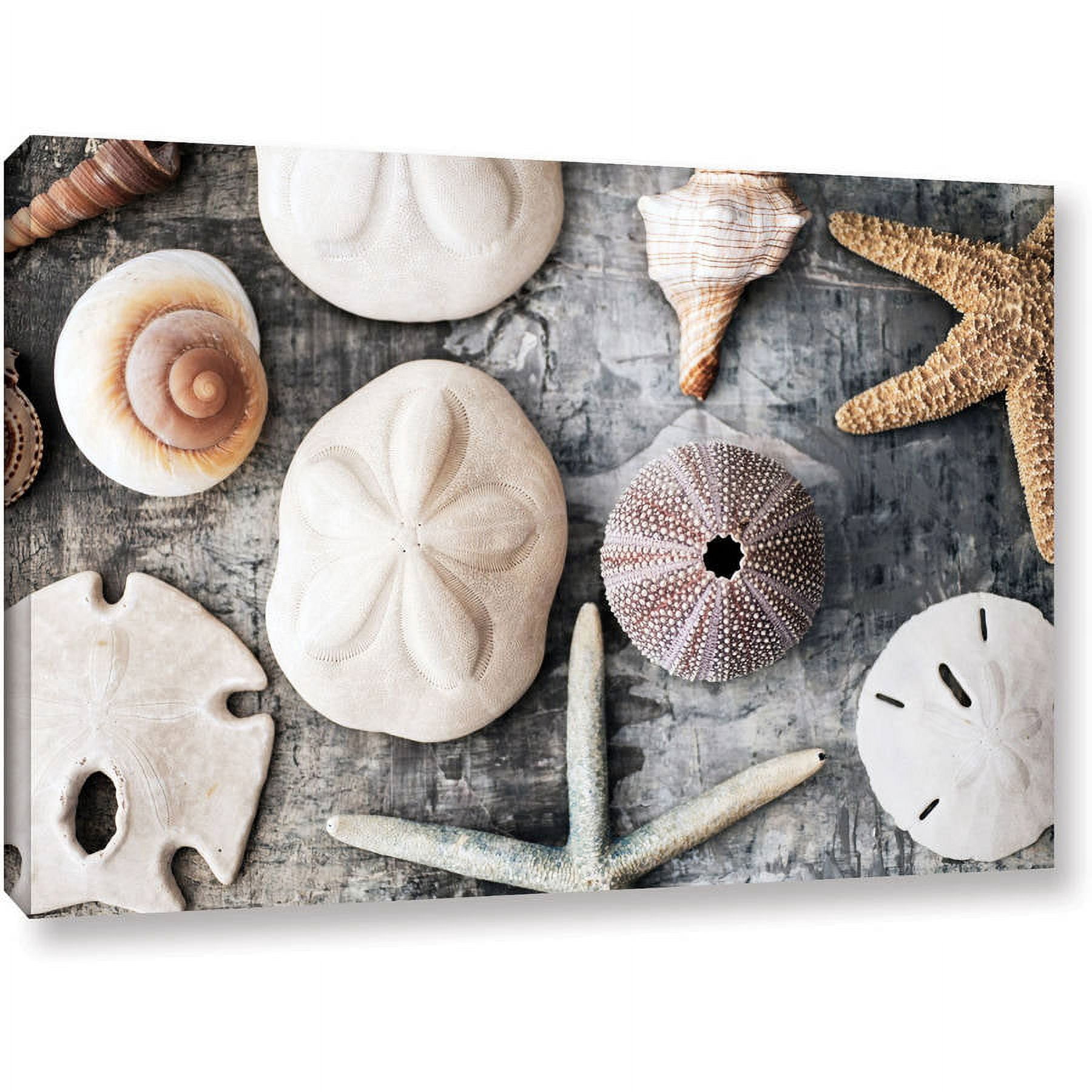 ArtWall Elena Ray "Treasures From The Sea" Gallery-wrapped Canvas
