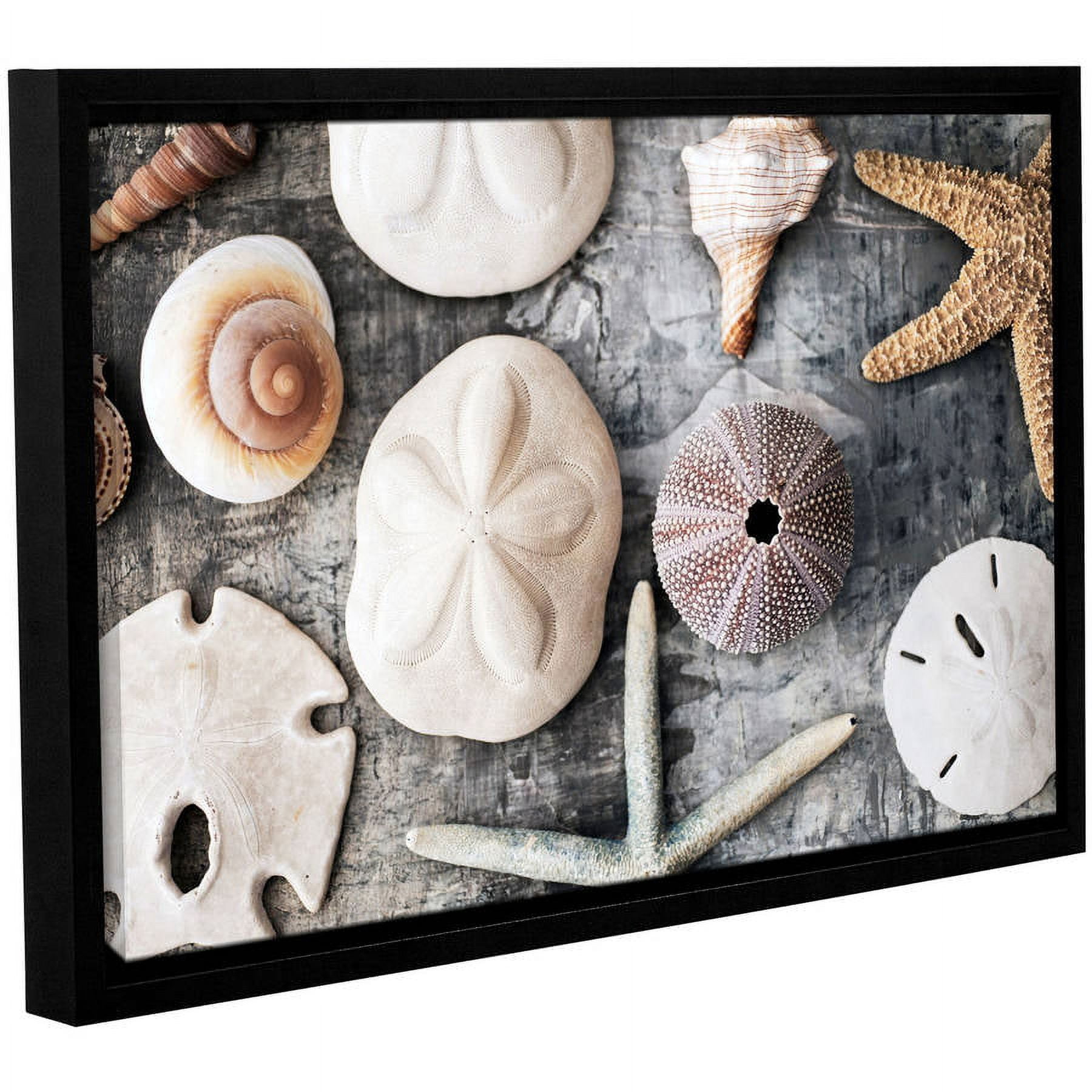 ArtWall Elena Ray "Treasures From The Sea" Gallery-wrapped Floater-framed Canvas