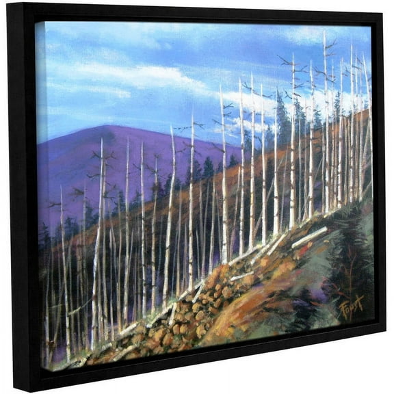 ArtWall Gene Foust "First Sight" Gallery-Wrapped Floater-Framed Canvas