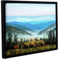 ArtWall Gene Foust "Hidden Valley" Gallery-Wrapped Floater-Framed Canvas