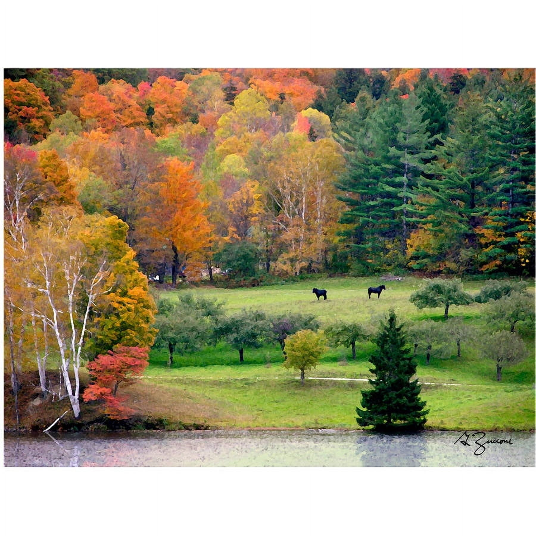 ArtWall George Zucconi "Killington, Vermont" Wrapped Canvas