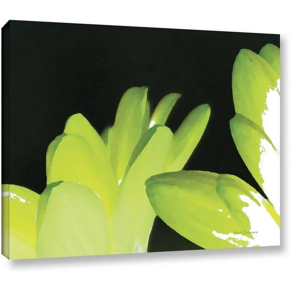 ArtWall Herb Dickinson "Gerber Time I" Gallery-wrapped Canvas