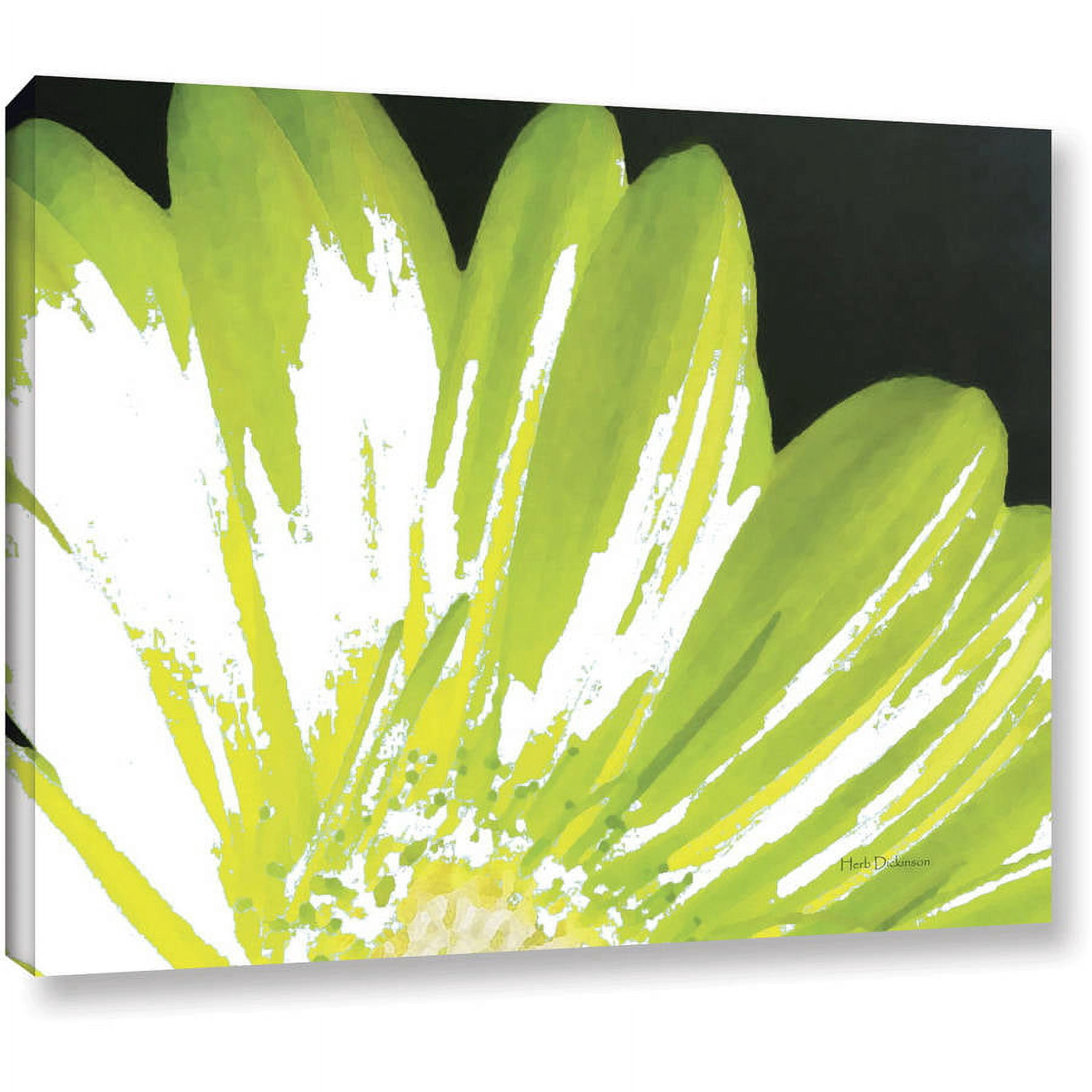 ArtWall Herb Dickinson "Gerber Time III" Gallery-wrapped Canvas