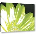 thumbnail image 1 of ArtWall Herb Dickinson "Gerber Time III" Gallery-wrapped Canvas, 1 of 1