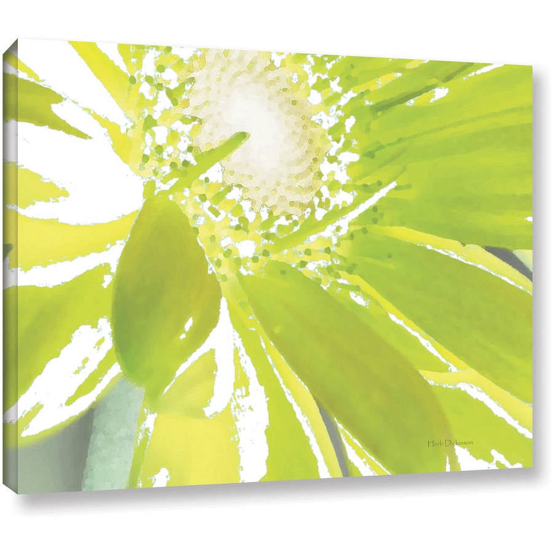 ArtWall Herb Dickinson "Gerber Time IV" Gallery-wrapped Canvas