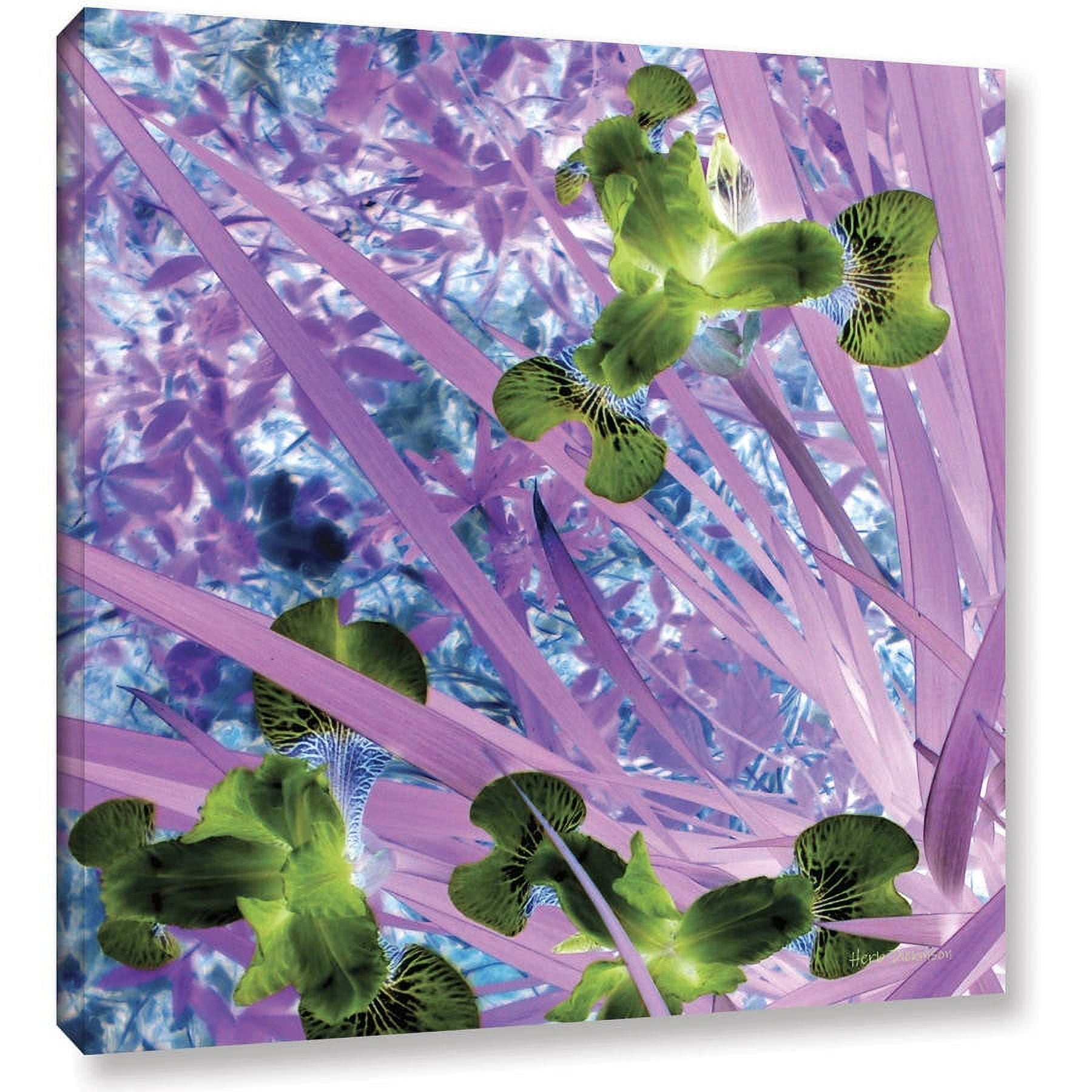 ArtWall Herb Dickinson "Iris Dreams" Gallery-wrapped Canvas