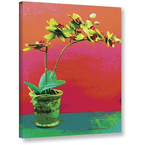 ArtWall Herb Dickinson "Orchid Opus" Gallery-Wrapped Canvas Art