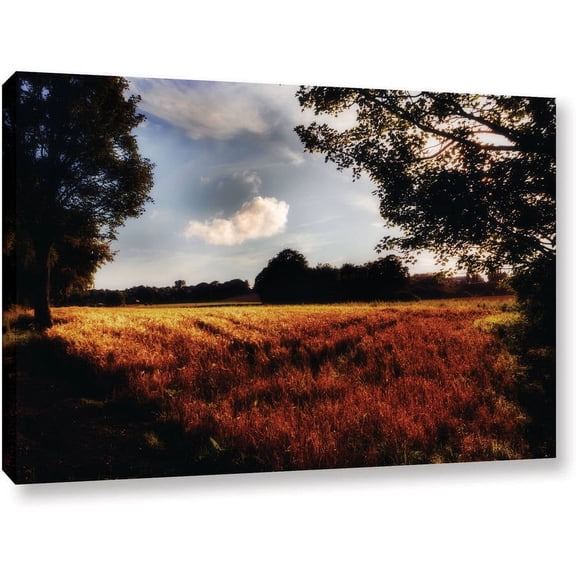 ArtWall John Black "Farmville" Gallery-Wrapped Canvas