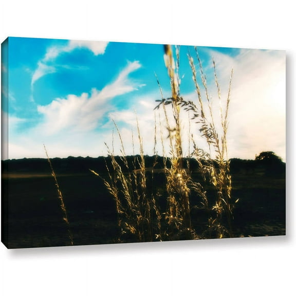 ArtWall John Black "Field" Gallery-Wrapped Canvas