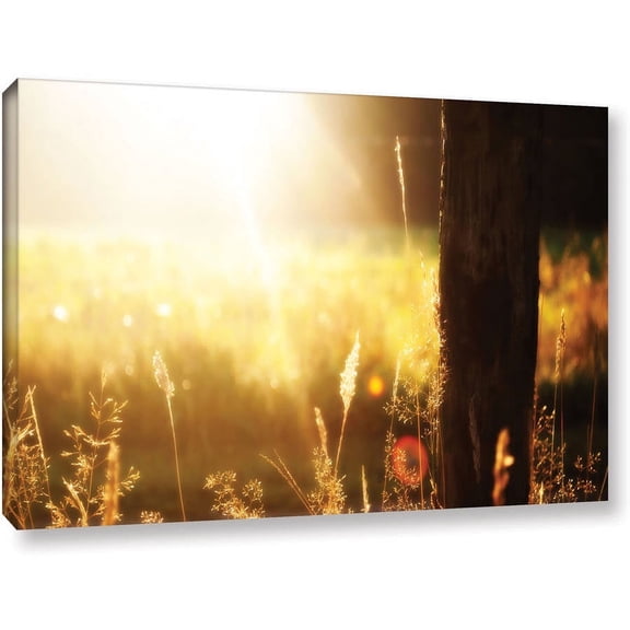 ArtWall John Black "Summertime" Gallery-Wrapped Canvas