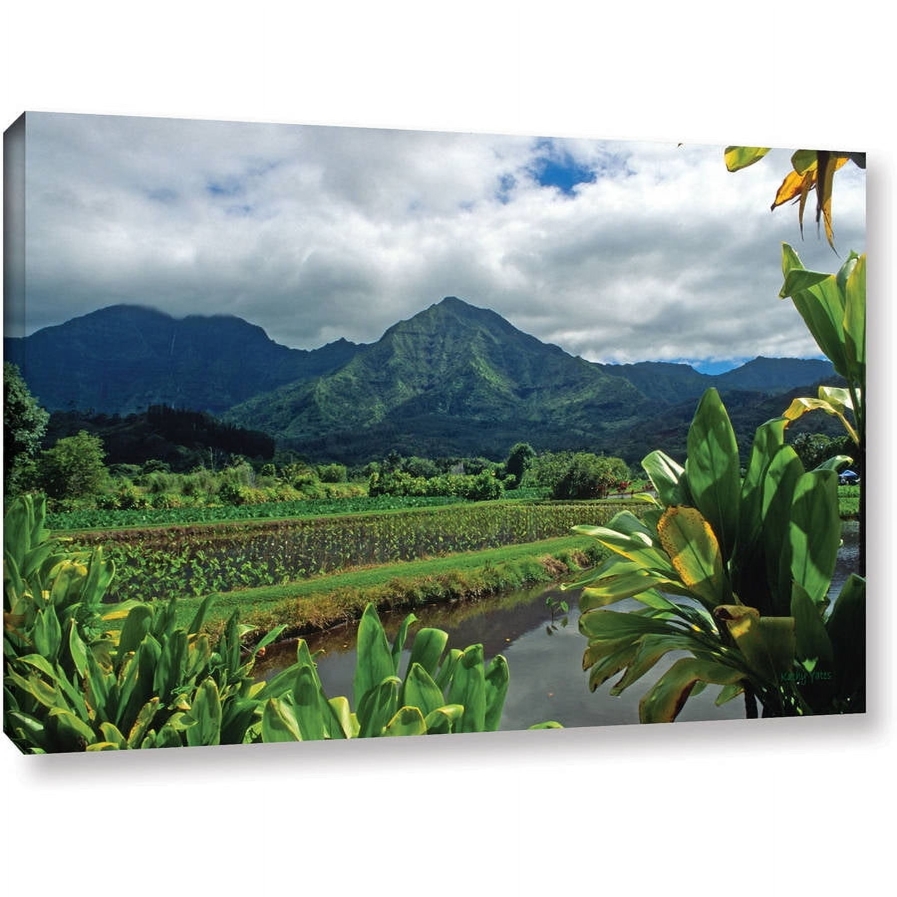 ArtWall Kathy Yates "A Taro Farm In Hanalei" Gallery-Wrapped Canvas