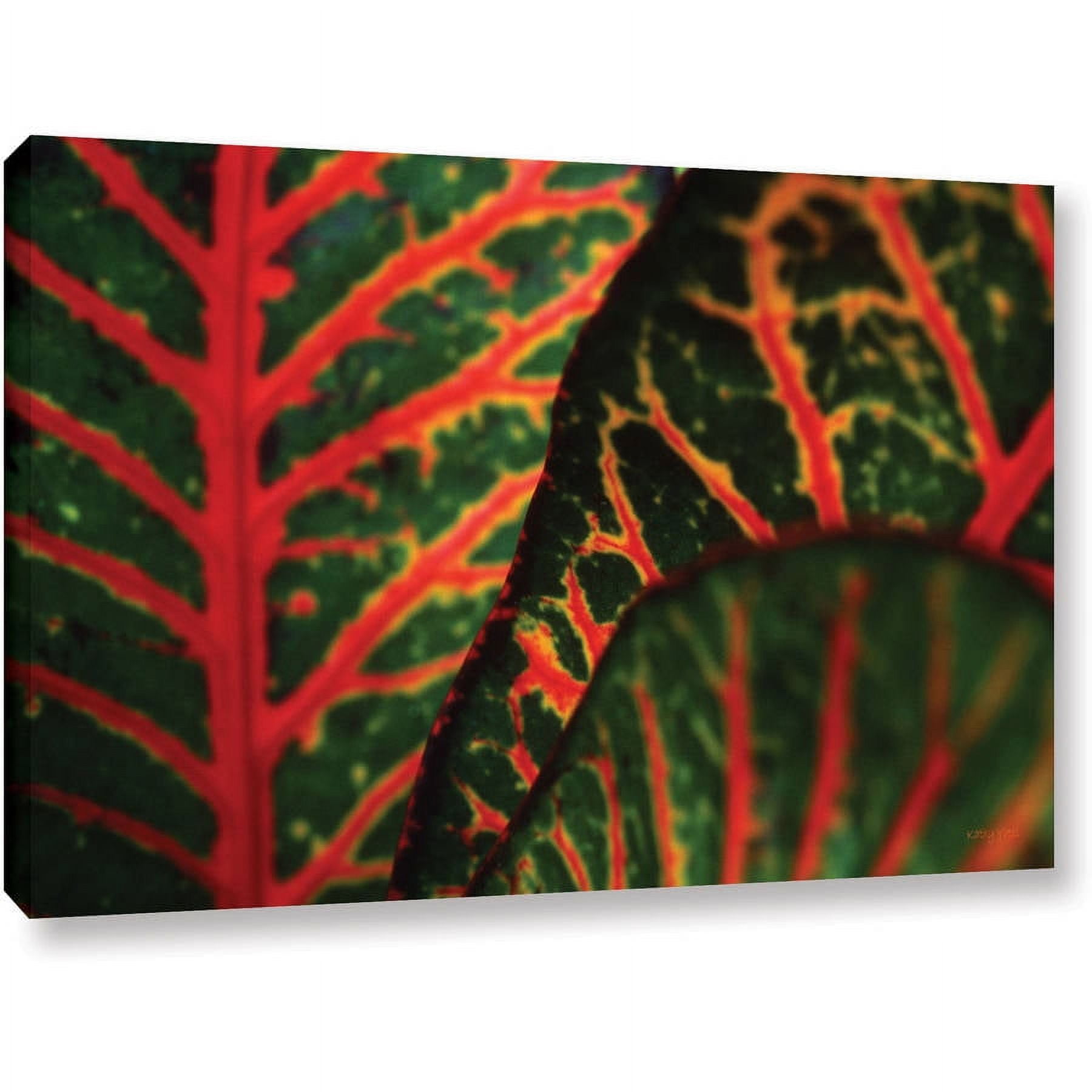 ArtWall Kathy Yates "Croton Abstract" Gallery-Wrapped Canvas