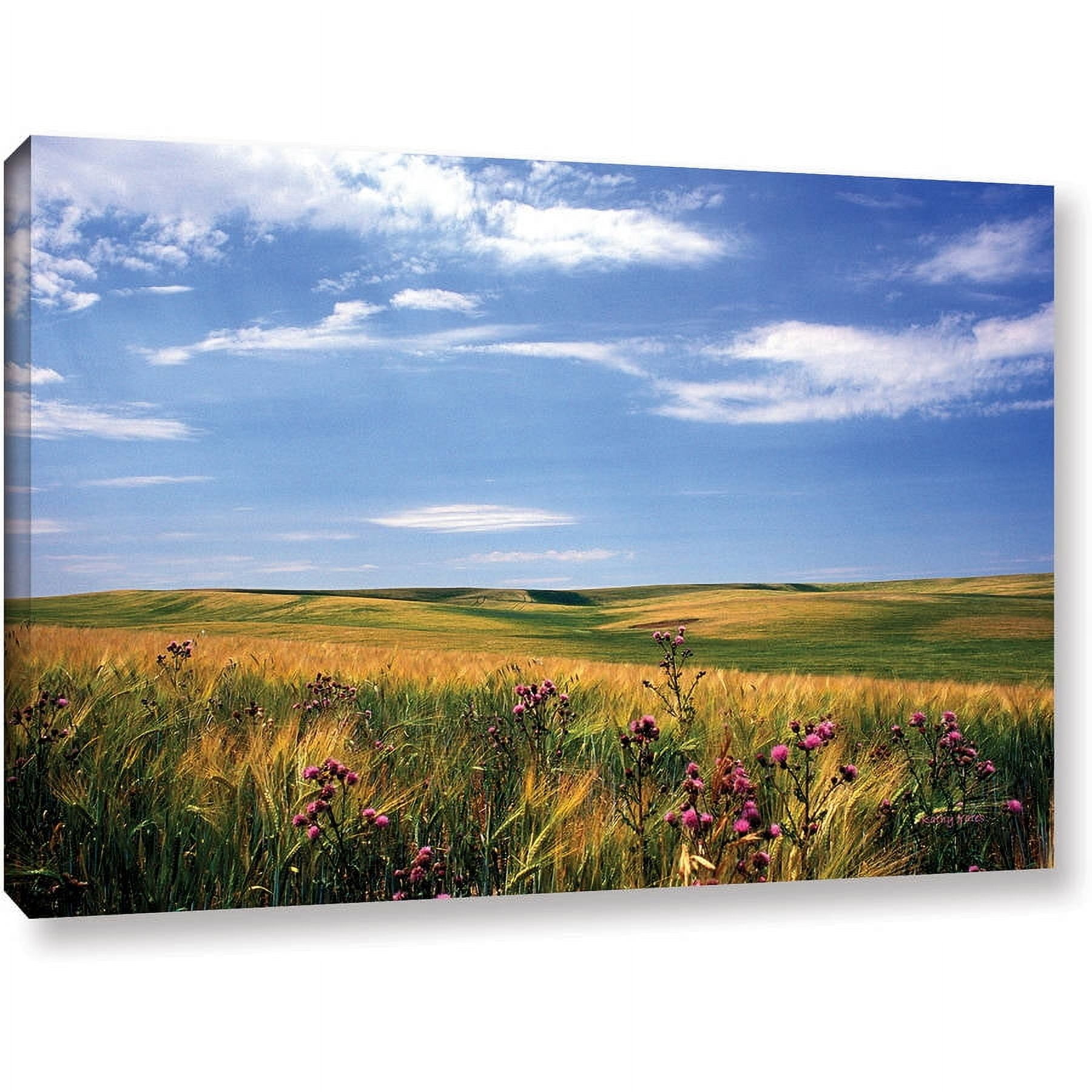 ArtWall Kathy Yates "Field of Dreams" Gallery-wrapped Canvas