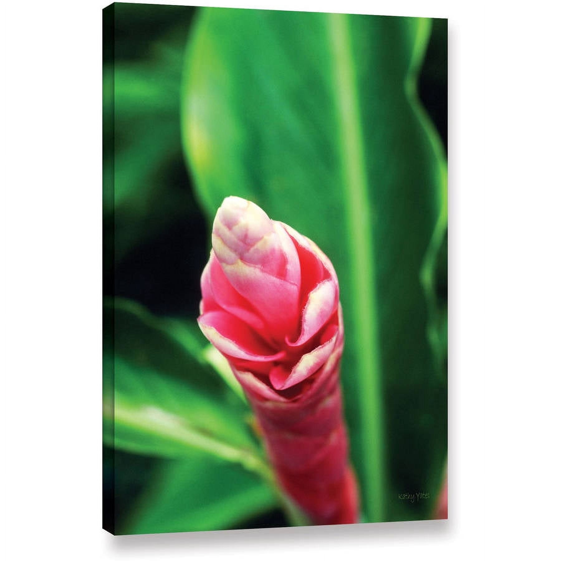 ArtWall Kathy Yates "Hawaiian Pink Ginger" Gallery-Wrapped Canvas
