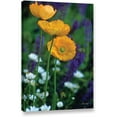 thumbnail image 1 of ArtWall Kathy Yates "La Playa Poppies" Gallery-wrapped Canvas, 1 of 2