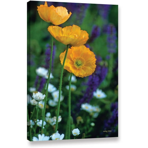 ArtWall Kathy Yates "La Playa Poppies" Gallery-wrapped Canvas
