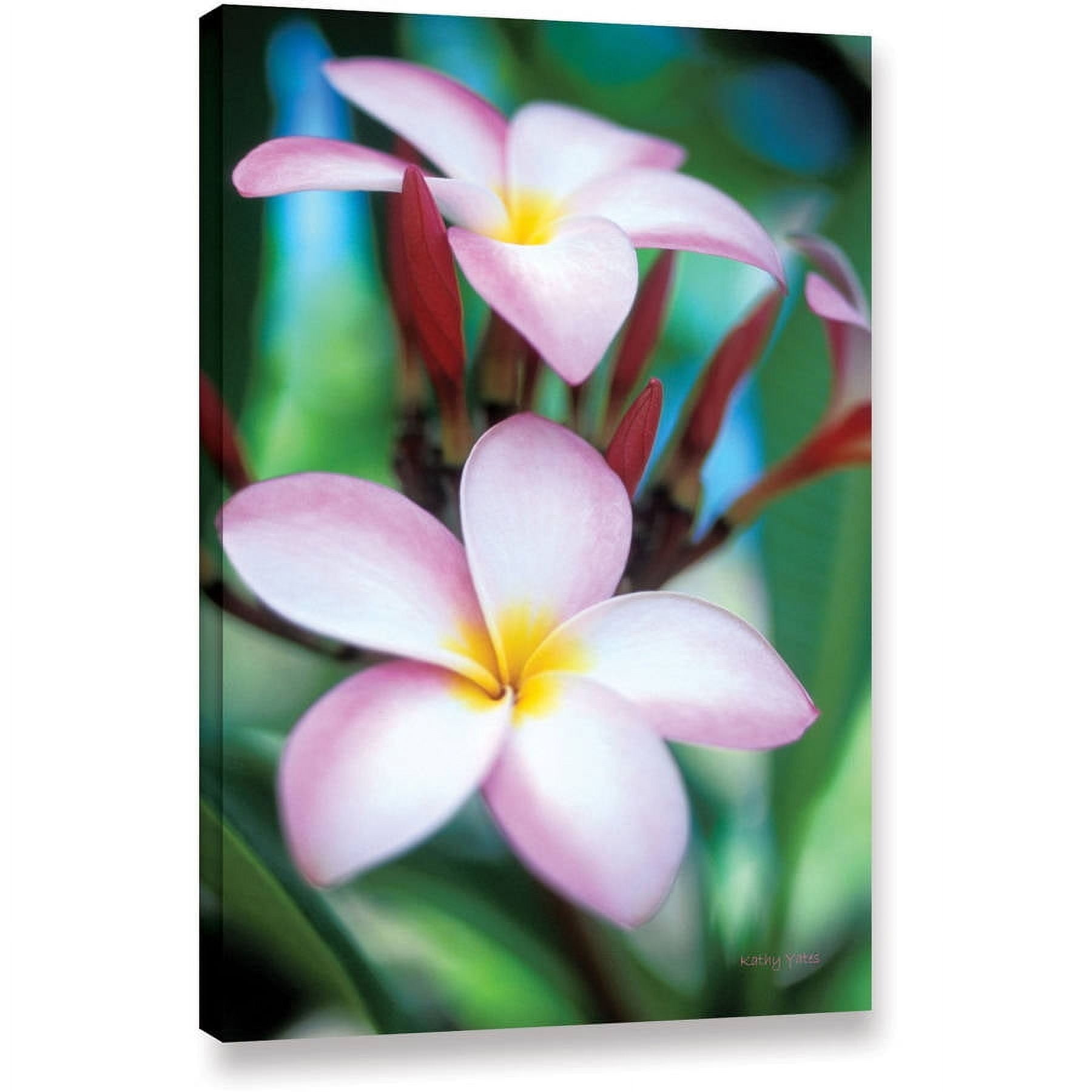 ArtWall Kathy Yates "Maui Plumeria" Gallery-Wrapped Canvas