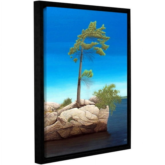 ArtWall Ken Kirsh "Tree Rock" Gallery-Wrapped Floater-Framed Canvas