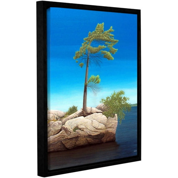 ArtWall Ken Kirsh "Tree Rock" Gallery-Wrapped Floater-Framed Canvas