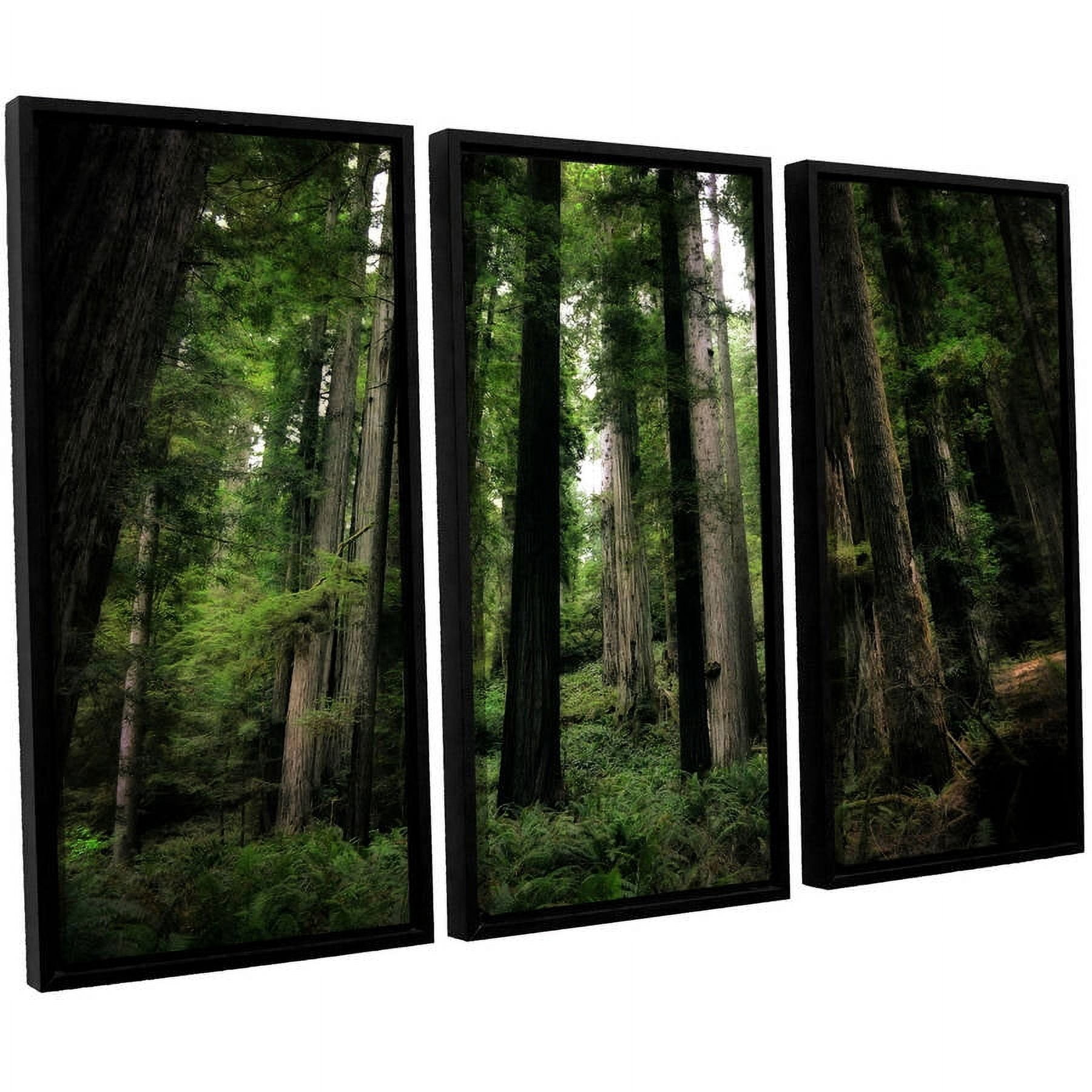 ArtWall Kevin Calkins" Among the Giants" 3-Piece Floater Framed Canvas Set