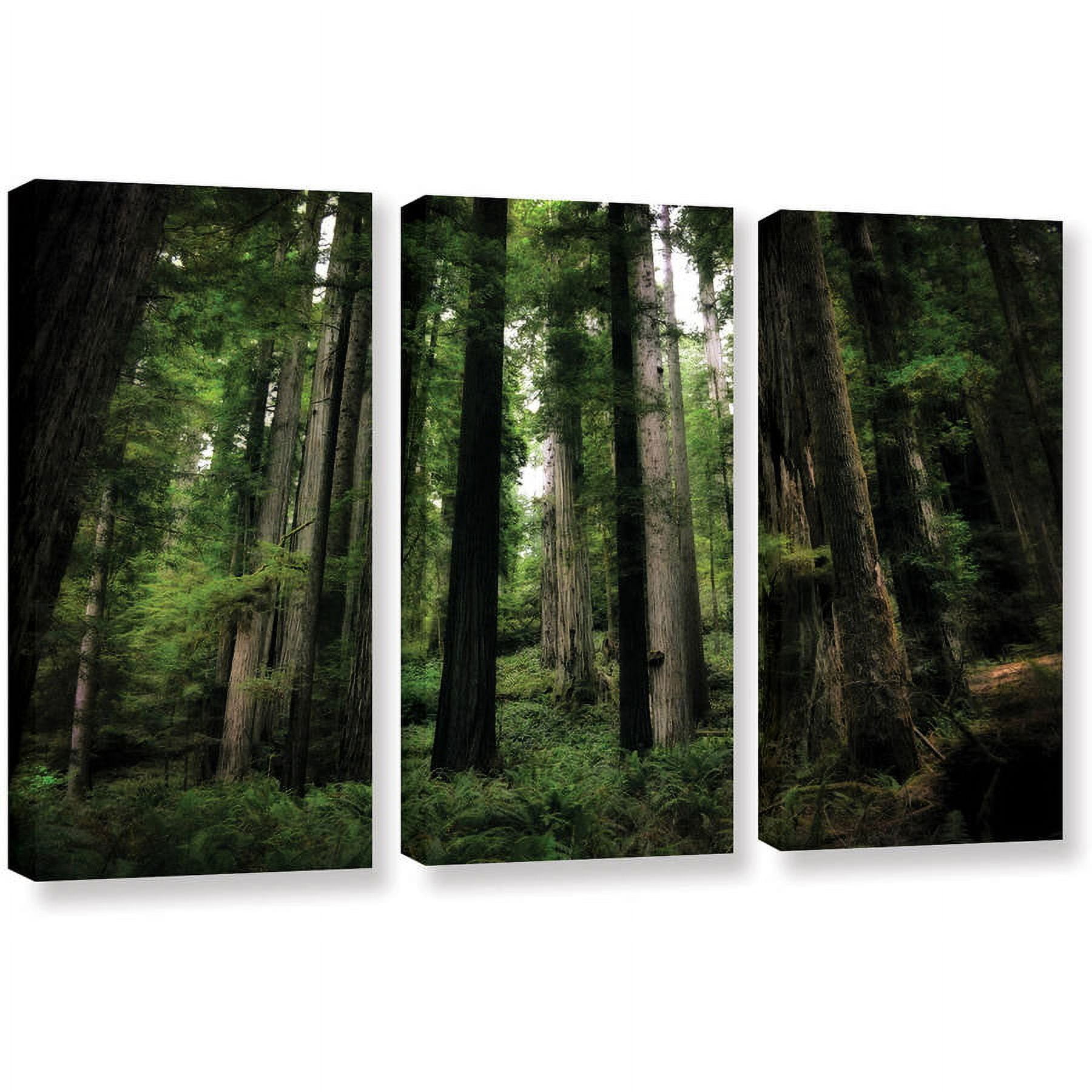 ArtWall Kevin Calkins "Among the Giants" 3-Piece Gallery-Wrapped Canvas Set