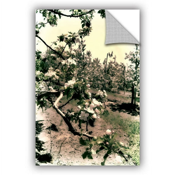 ArtWall Kevin Calkins "Apple Blossoms" Art Appeals Removable Wall Art