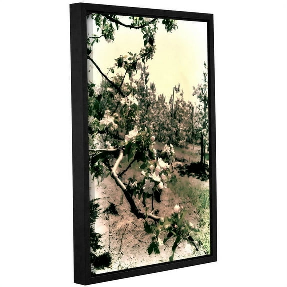 ArtWall Kevin Calkins "Apple Blossoms" Gallery-Wrapped Floater-Framed Canvas