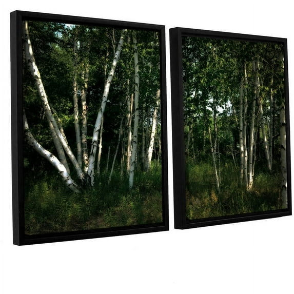 ArtWall Kevin Calkins "Birch Grove in Sunlight" 2-Piece Floater Framed Canvas Set