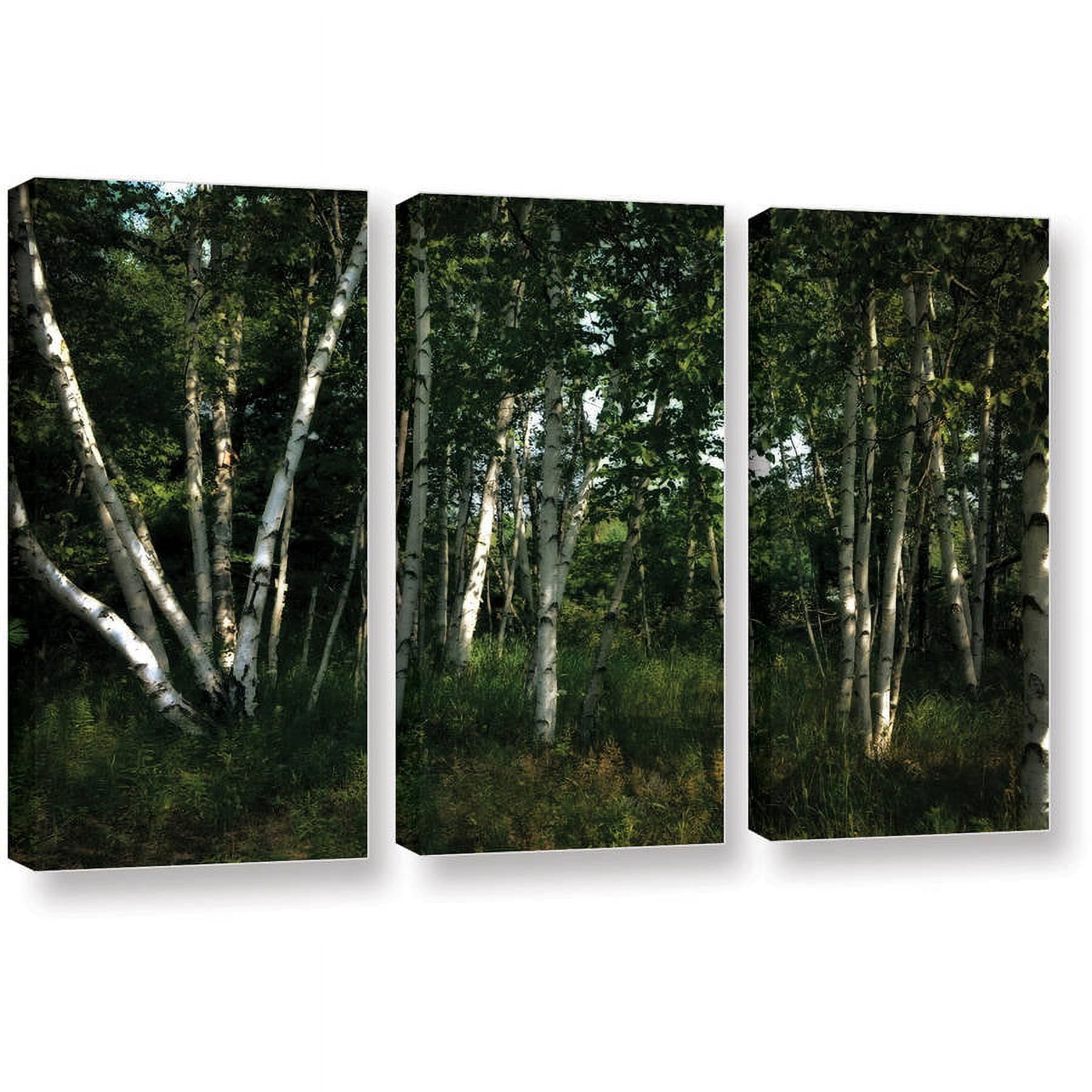ArtWall Kevin Calkins "Birch Grove in Sunlight" 3-Piece Gallery-Wrapped Canvas Set