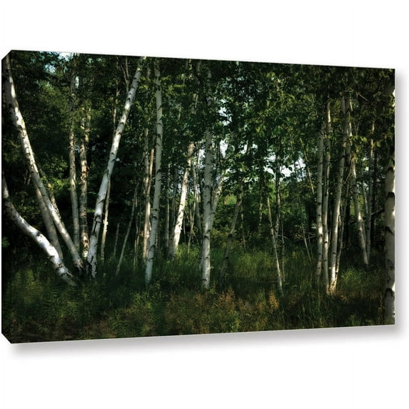 ArtWall Kevin Calkins "Birch Grove in Sunlight" Gallery-Wrapped Canvas