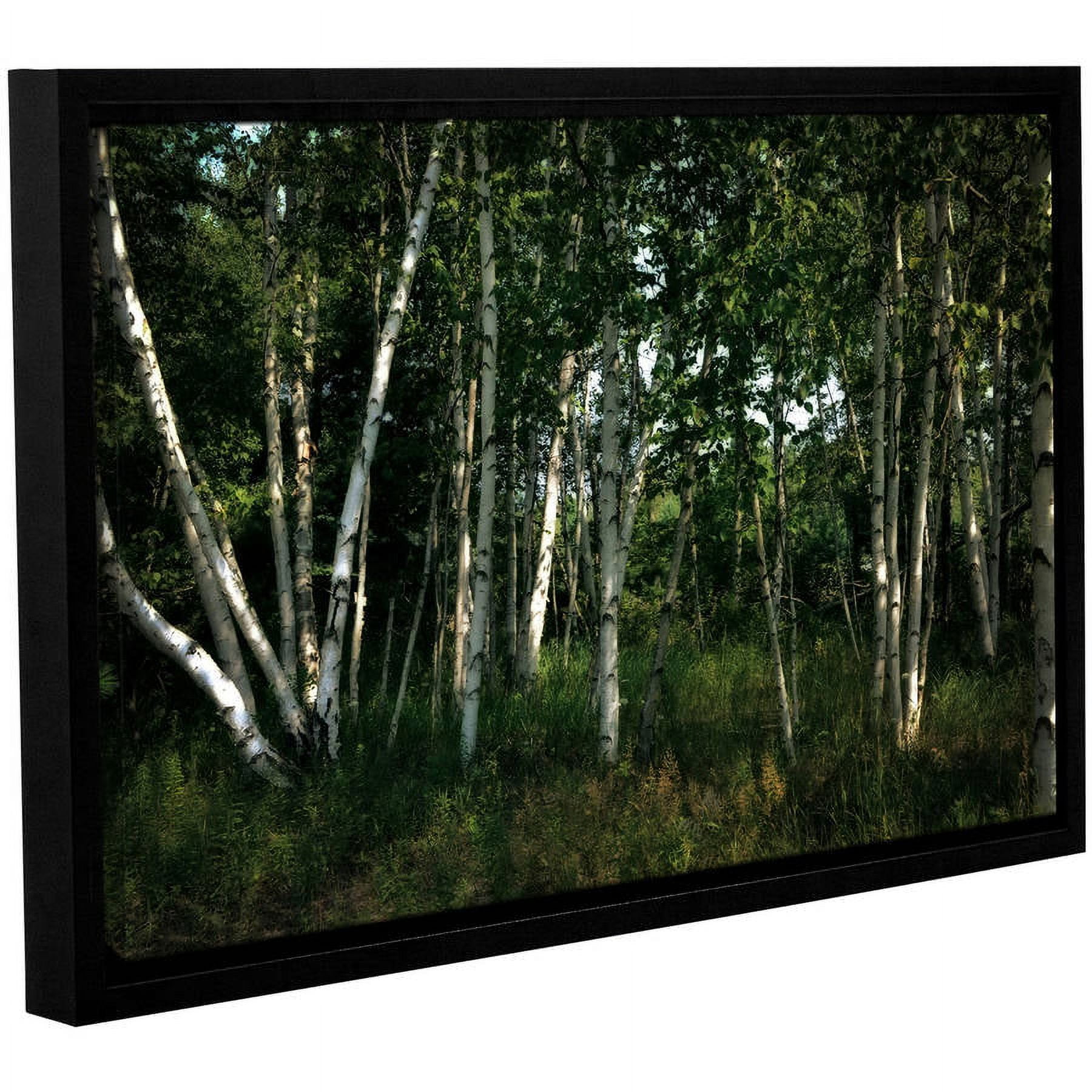 ArtWall Kevin Calkins "Birch Grove in Sunlight" Gallery-Wrapped Floater-Framed Canvas