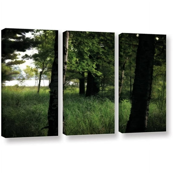 ArtWall Kevin Calkins "Birch and Pines" 3-Piece Gallery-Wrapped Canvas Set
