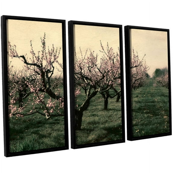 ArtWall Kevin Calkins "Cheery Cherries" 3-Piece Floater Framed Canvas Set