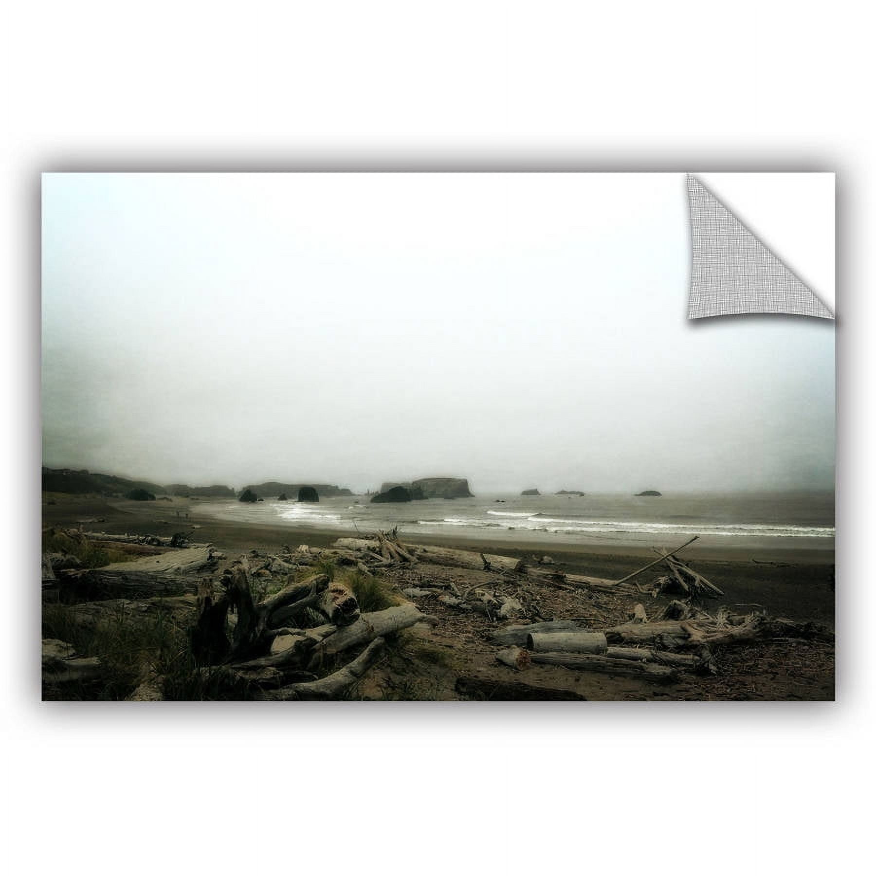 ArtWall Kevin Calkins "Driftwood and Seastacks" ArtAppealz Removable Wall Art