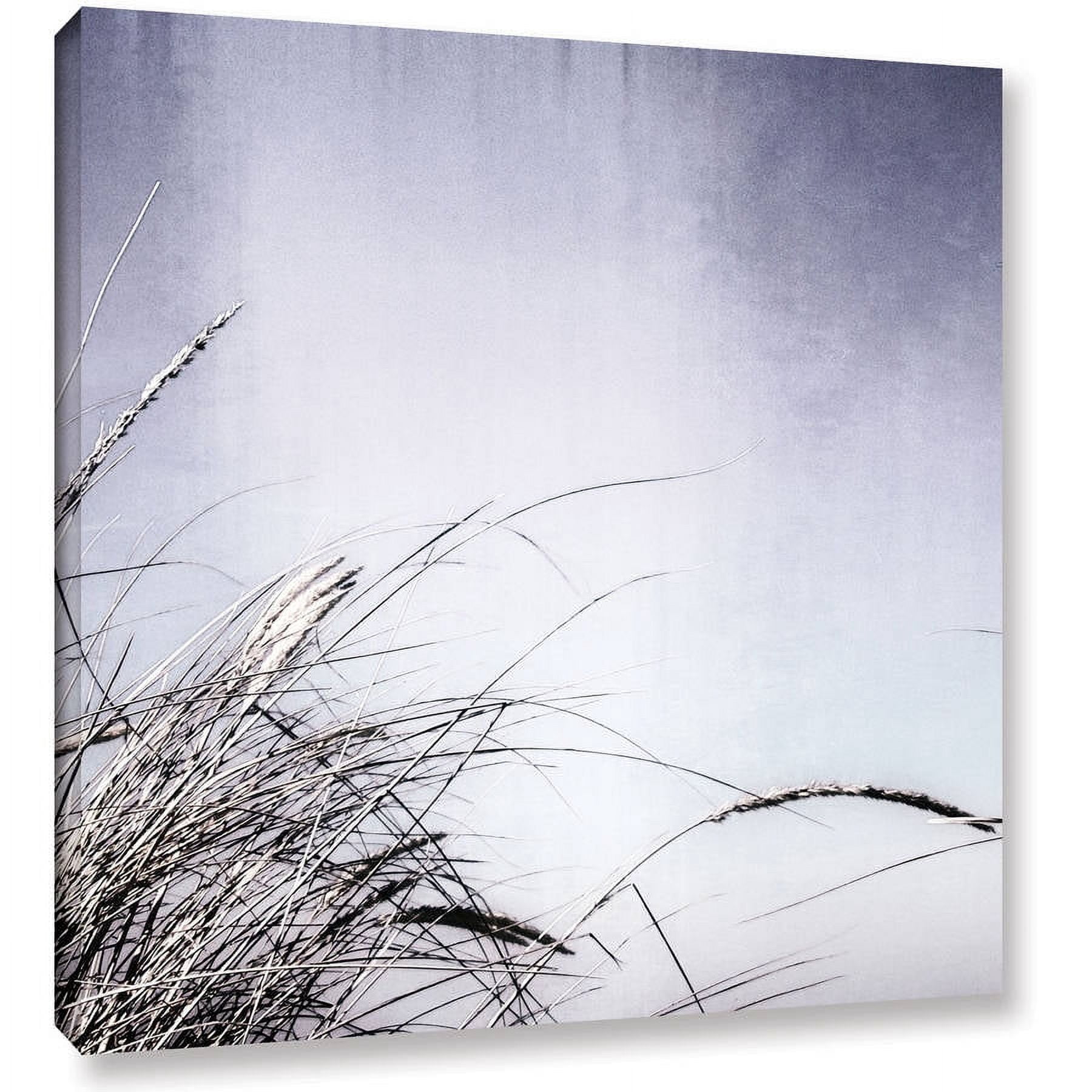 ArtWall Kevin Calkins "Dune Grass Abstract" Gallery-Wrapped Canvas