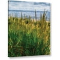thumbnail image 1 of ArtWall Kevin Calkins "Dune Grass in Summer" Gallery-Wrapped Canvas, 1 of 1